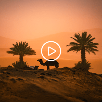 TITAN DESERT MOROCCO&nbsp;2025